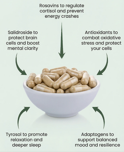 Rhodiola Rosea Golden Root Adaptogen Capsules  - for Stress Support, Gut Health, And Anxiety